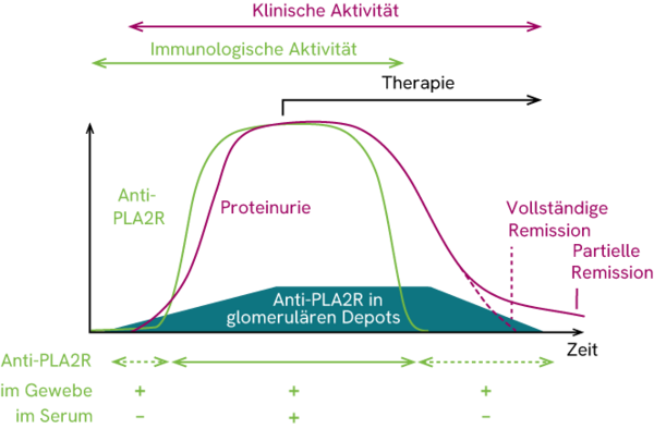 Abgeänderte Abbildung aus: Francis et al., Am J Kidney Dis 68, 138-47 (2016)