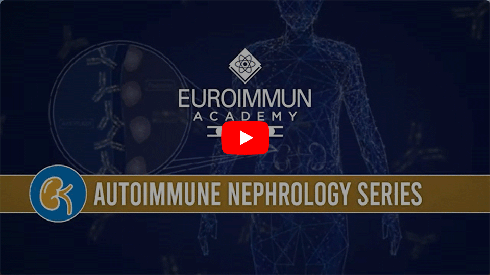 Autoimmunnephrologie-Webinarreihe Folge 1