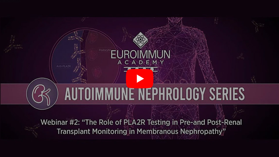 Autoimmunnephrologie-Webinarreihe Folge 2